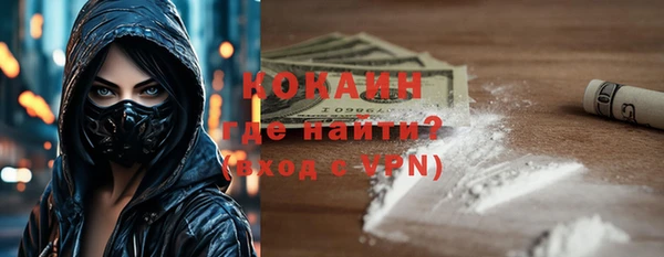 прущие грибы Дмитров