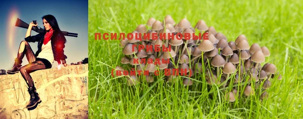 mix Дмитровск