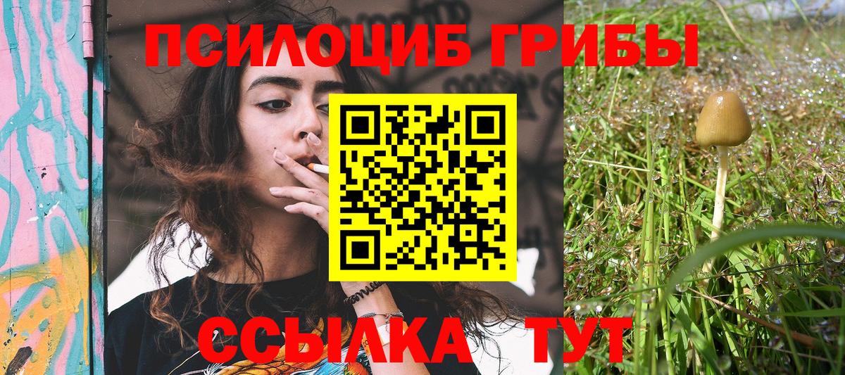 Галлюциногенные грибы прущие грибы  Галлюциногенные грибы Cubensis  Грозный  купить   Вход с VPN 