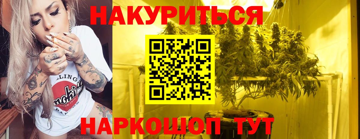 Бошки марихуана план Грозный